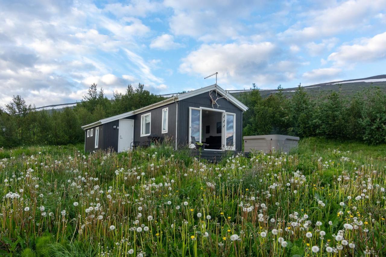 Viking Cottages & Apartments Akureyri Bagian luar foto