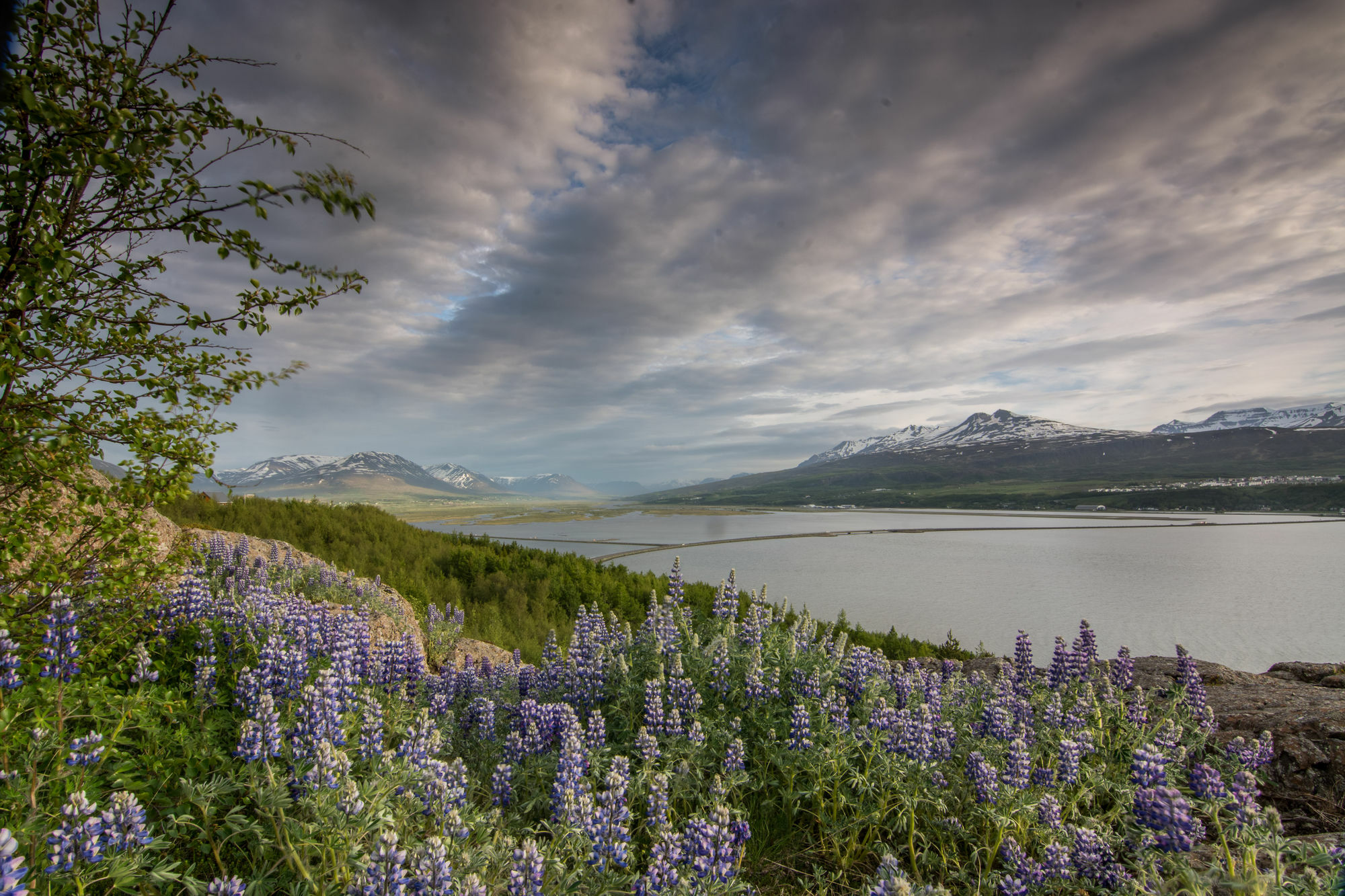 Viking Cottages & Apartments Akureyri Bagian luar foto
